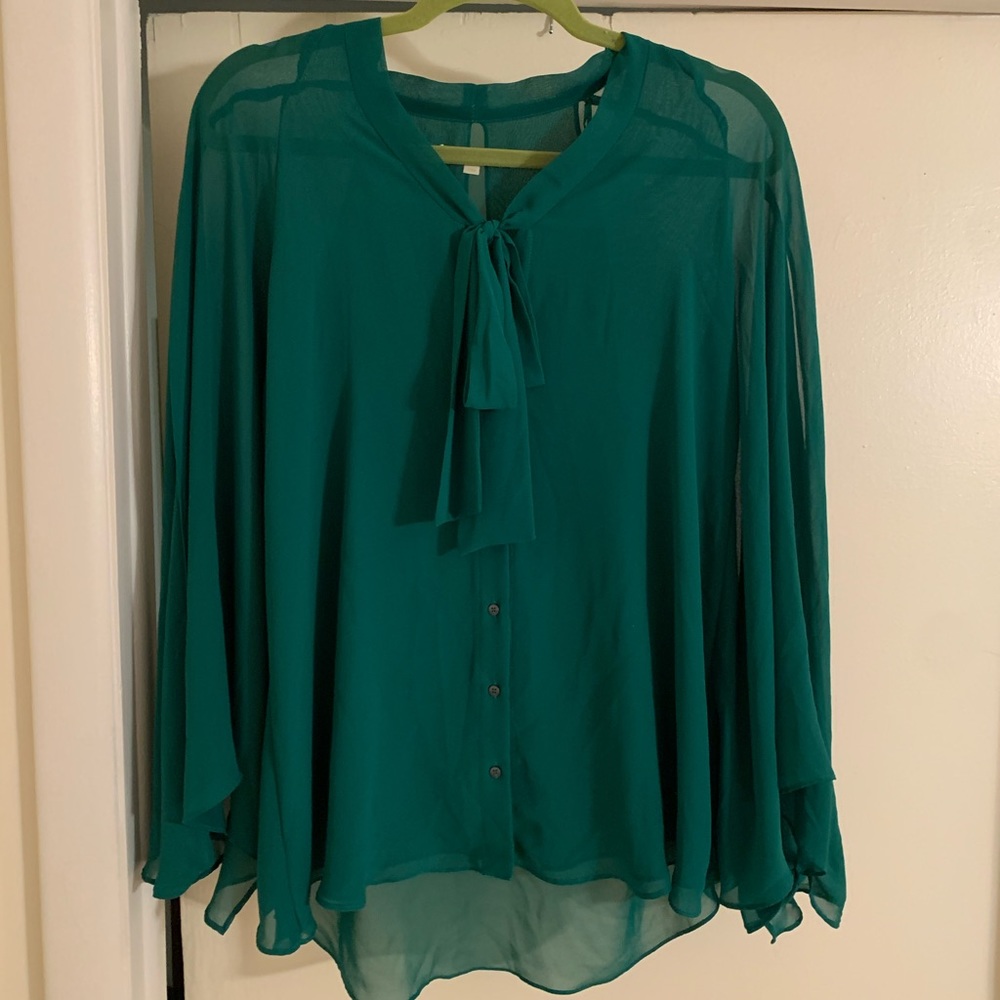 HOST PICK 👏🏼 Gianni Bini Sheer Button-up Top